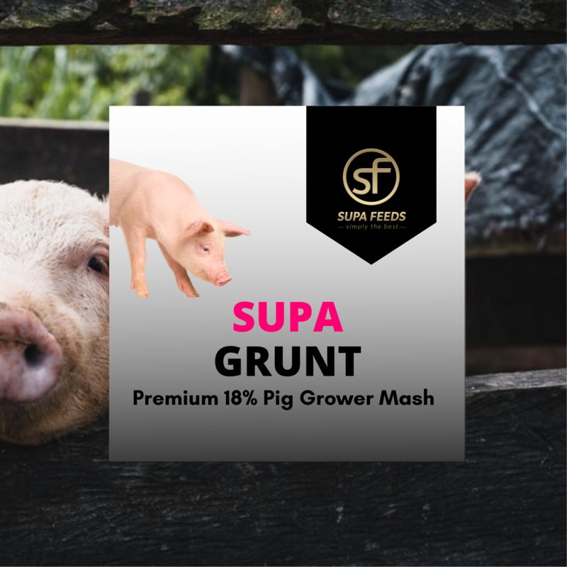 Supa Grunt Sample