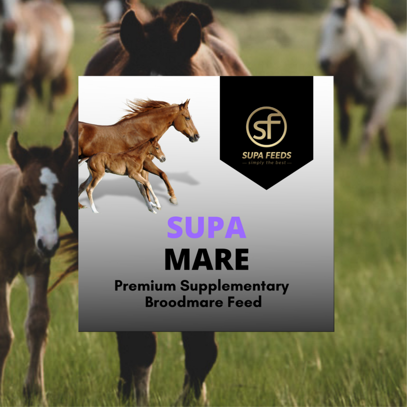 Supa Mare Sample