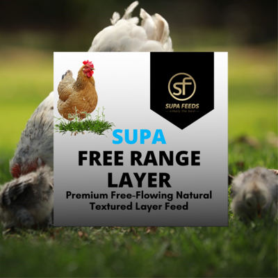 Supa Free Range Layer Sample