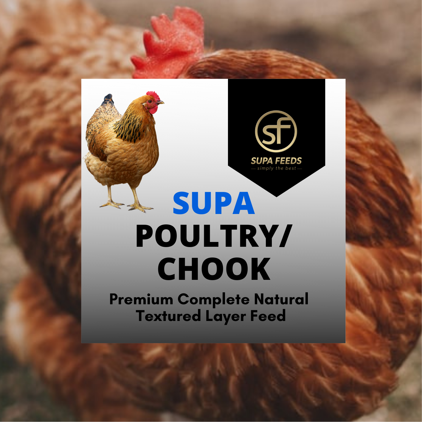 Supa Poultry/Chook Sample