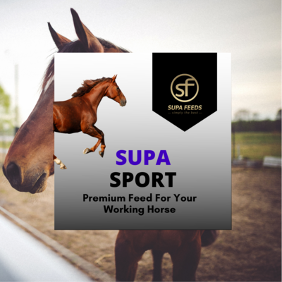 Supa Sport Sample