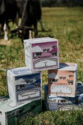 Supa Licks: Lick Blocks