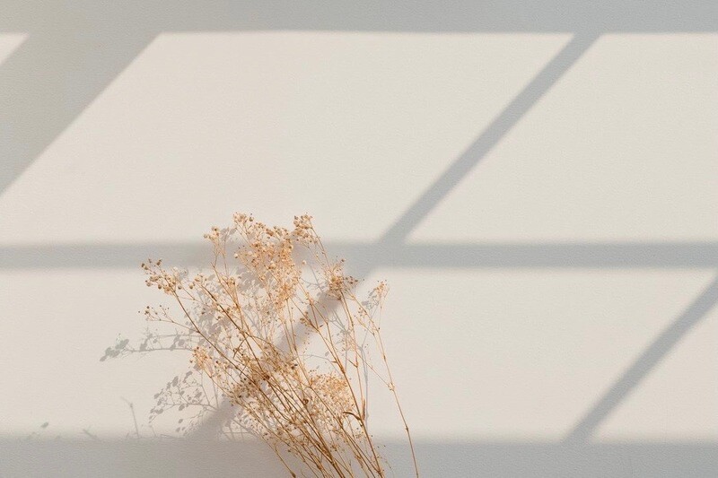 SWEET MORNING #2