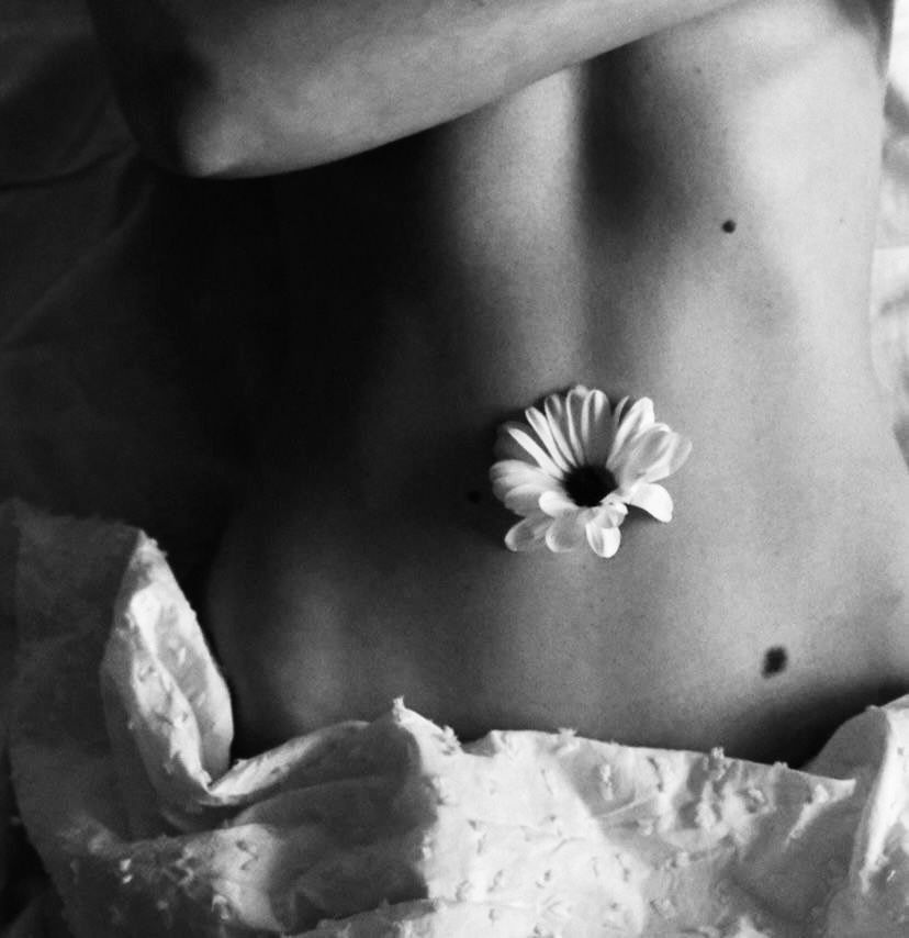 BELLY REVOLUTION