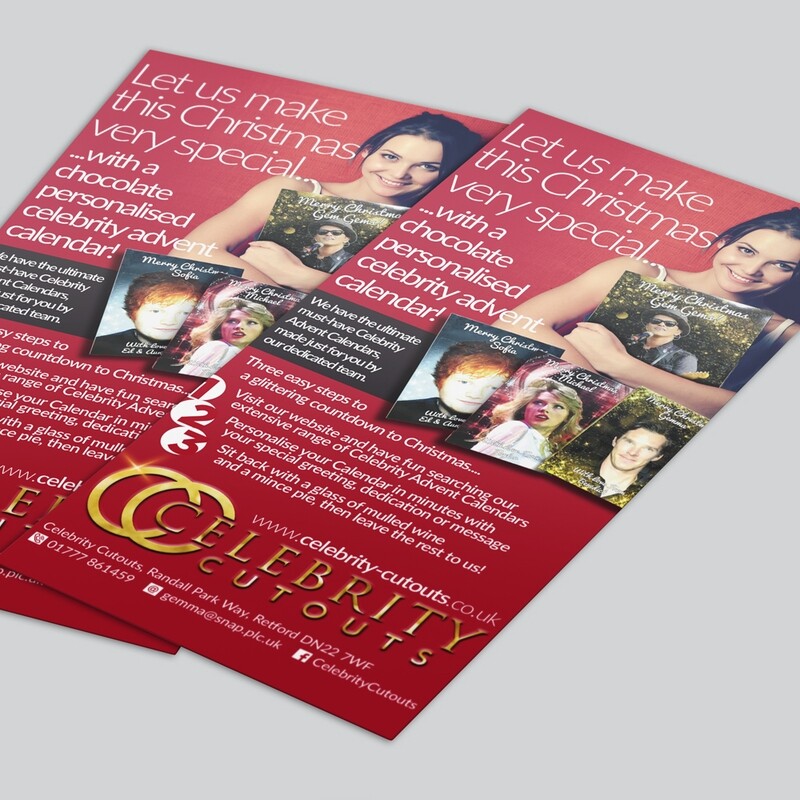 DL 350gsm Silk Flyers