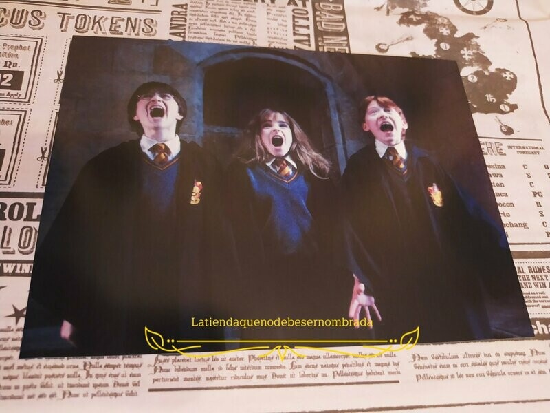 POSTAL SECUENCIA FLUFFY HARRY POTTER