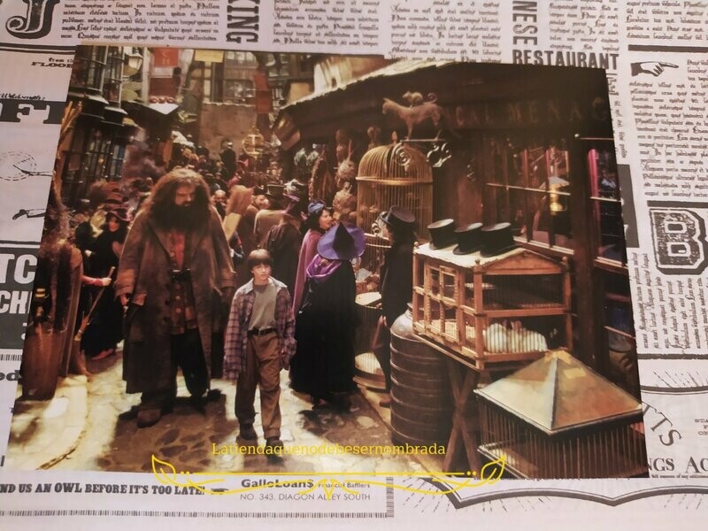 POSTAL CALLEJÓN DIAGON HARRY POTTER