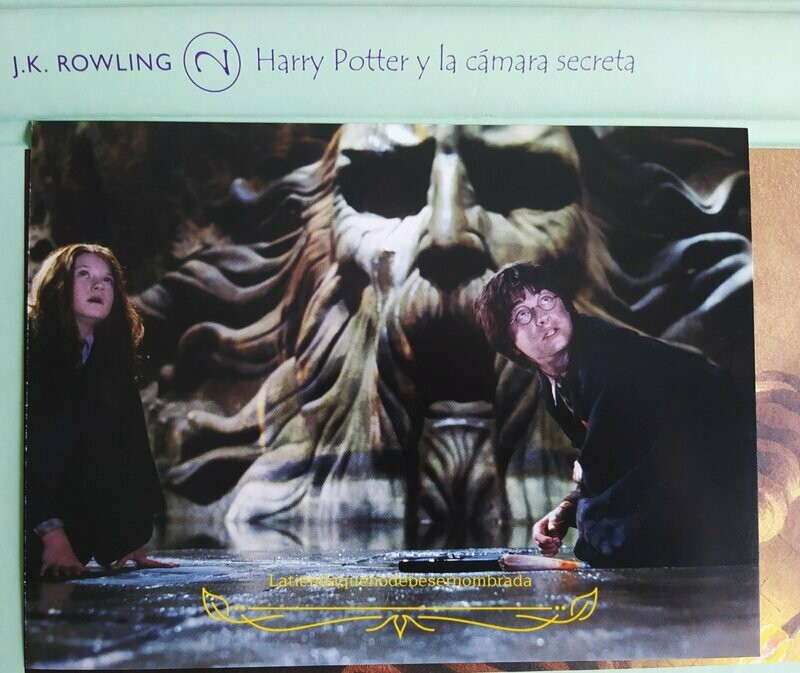POSTAL EN LA CÁMARA DE LOS SECRETOS HARRY POTTER