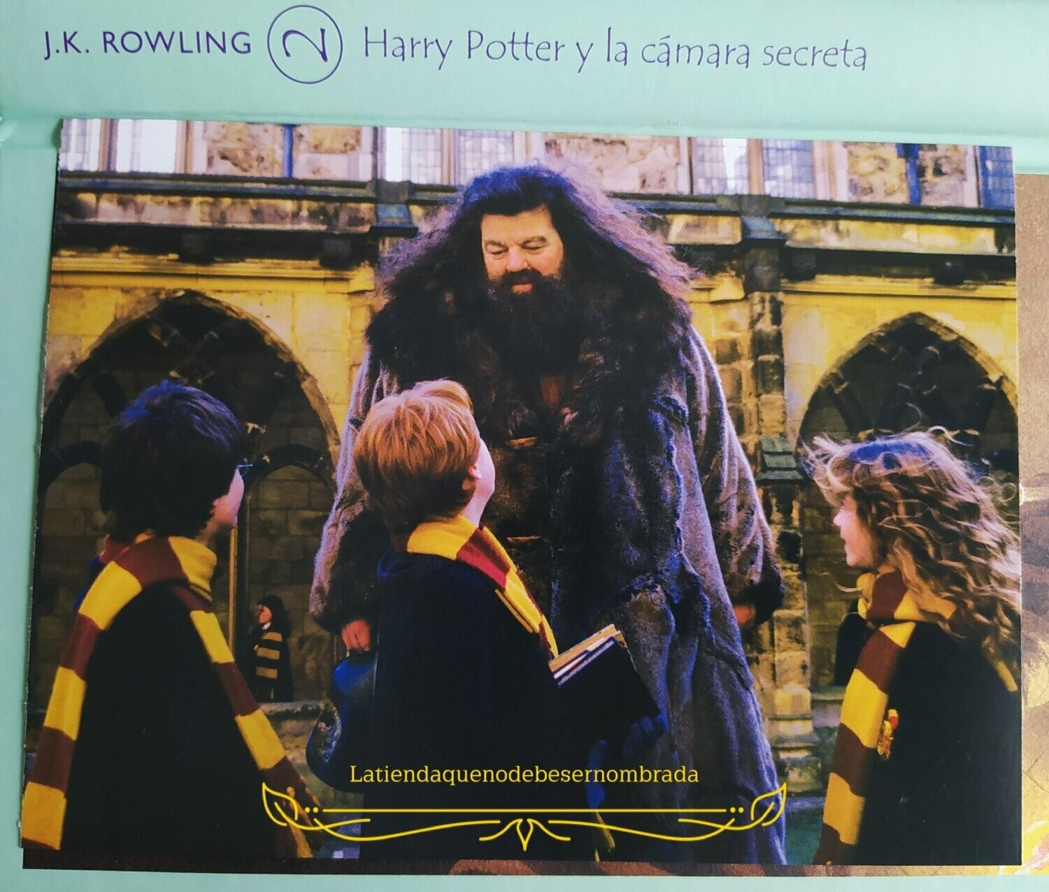POSTAL HAGRID CON HARRY, HERMIONE Y RON WEASLEY