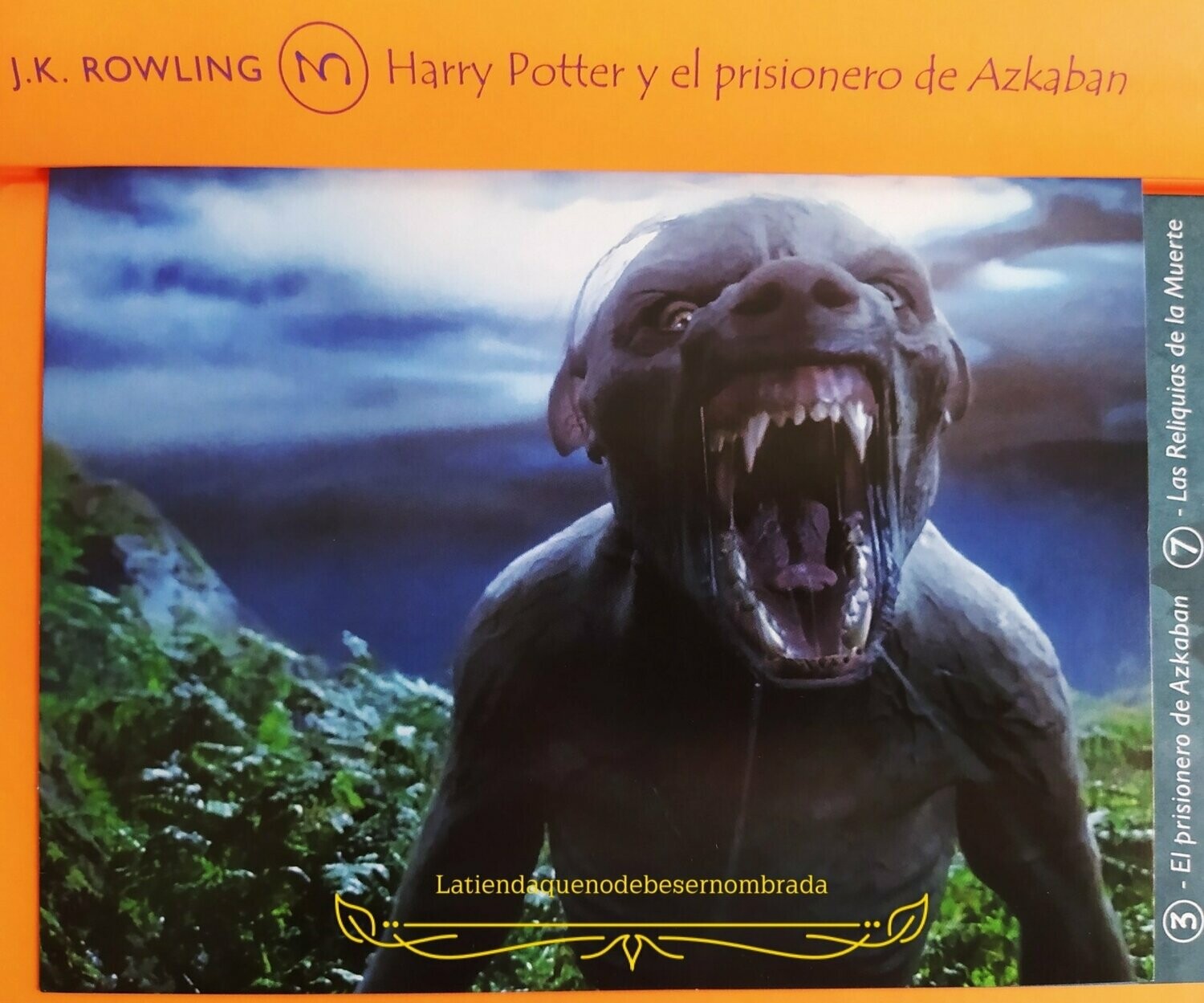POSTAL REMUS LUPIN HARRY POTTER