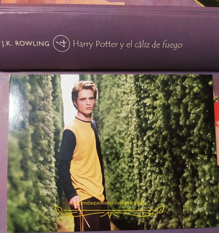 POSTAL CEDRIC DIGGORY HARRY POTTER