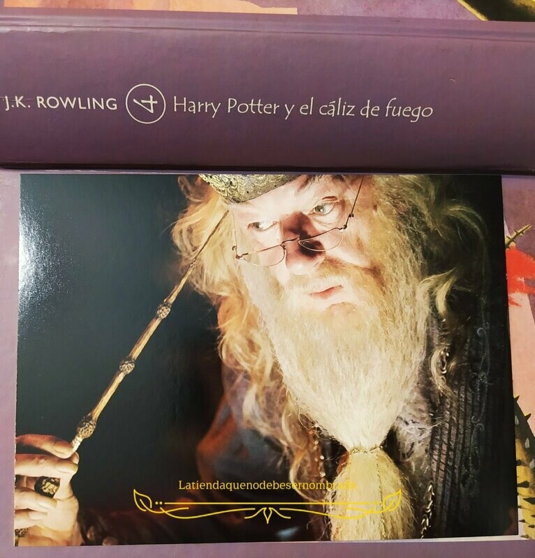 POSTAL ALBUS DUMBLEDORE HARRY POTTER