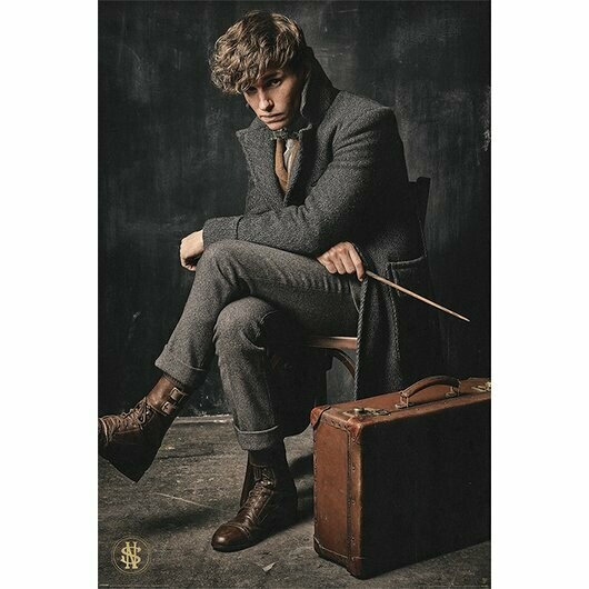 POSTER NEWT SCAMANDER ANIMALES FANTASTICOS