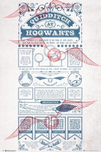 POSTER QUIDDITCH HARRY POTTER