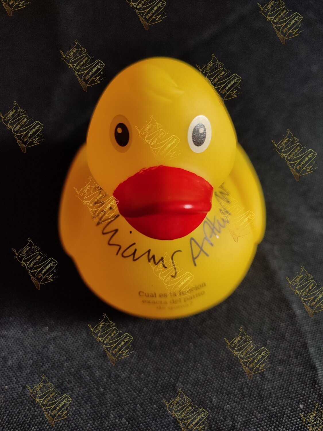 PATITO DE GOMA FIRMADO POR ARTHUR WEASLEY (MARK WILLIAMS)