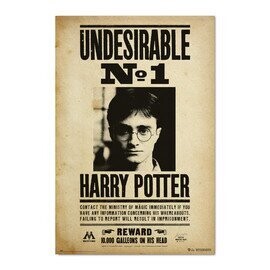 POSTER UNDESIRABLE Nº1 HARRY POTTER
