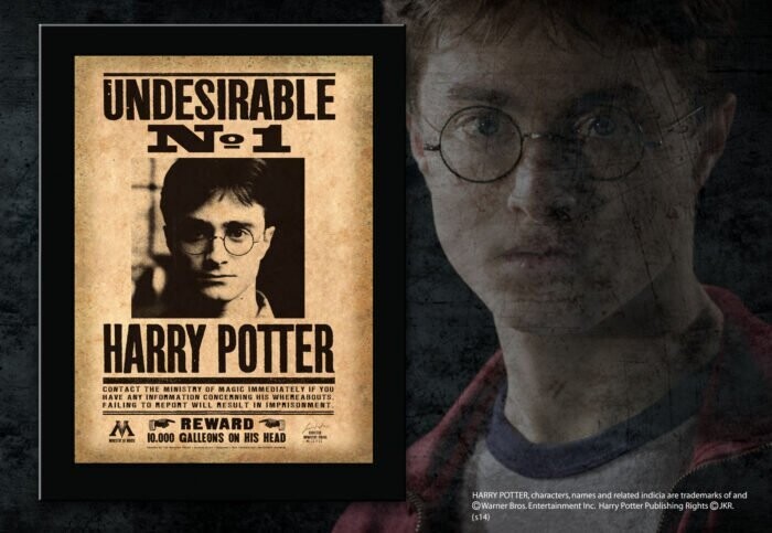 CUADRO UNDESIRABLE Nº1 HARRY POTTER NOBLE COLLECTION