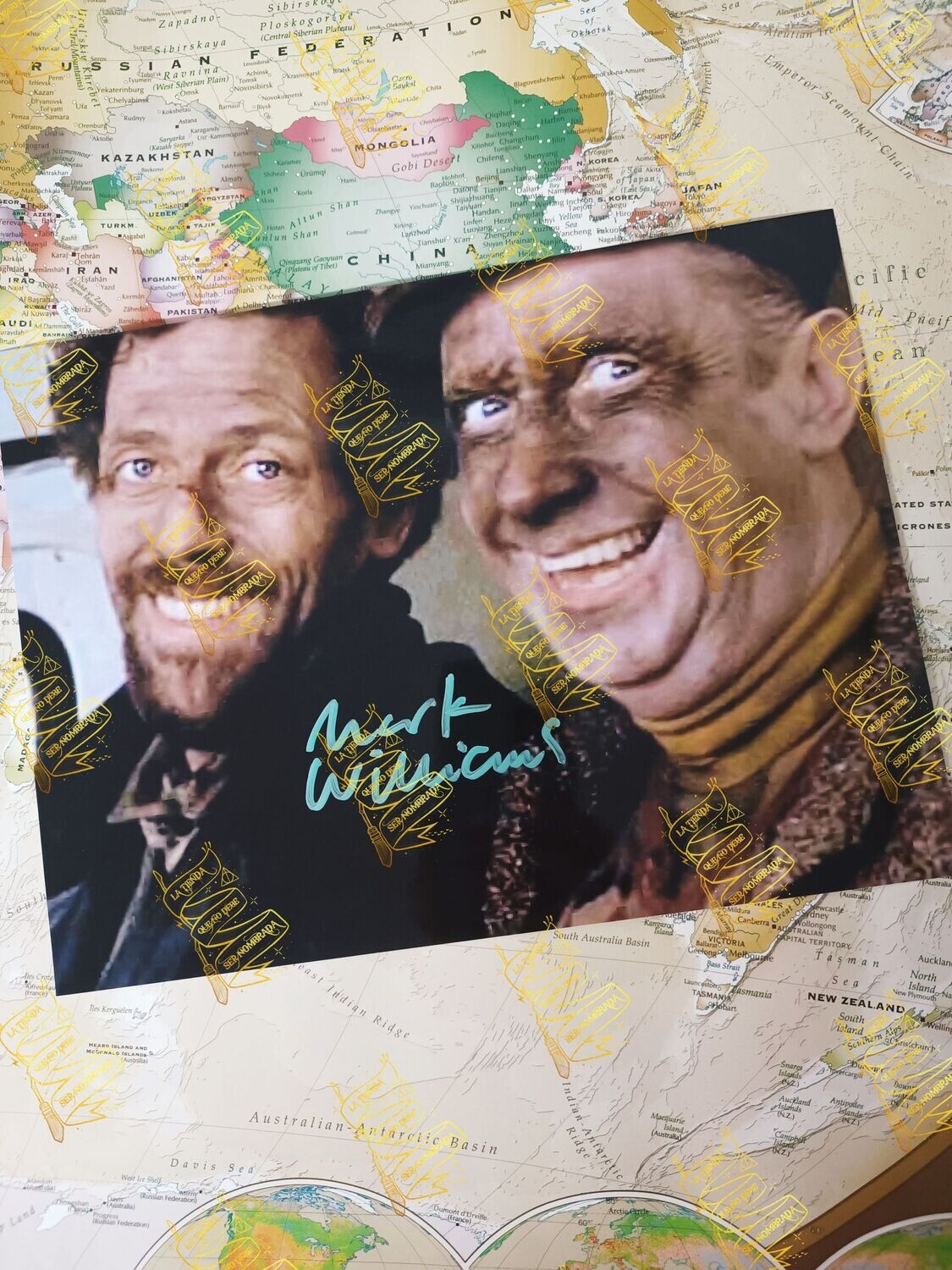 FOTOGRAFIA FIRMADA POR HORACIO DABUN (MARK WILLIAMS) EN 101 DALMATAS DISNEY