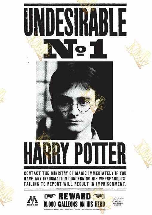 PERGAMINO HARRY POTTER UNDESIRABLE Nº1
