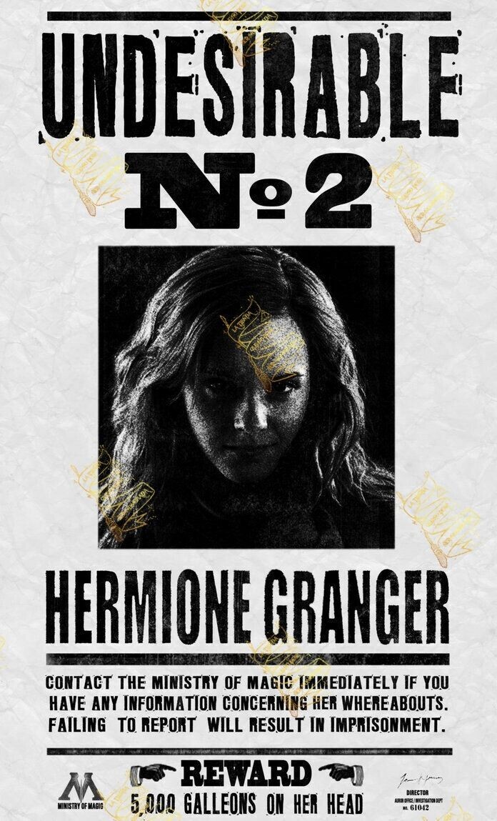 PERGAMINO HERMIONE GRANGER UNDESIRABLE Nº2 HARRY POTTER