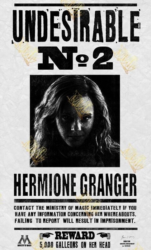 PERGAMINO HERMIONE GRANGER UNDESIRABLE Nº2 HARRY POTTER