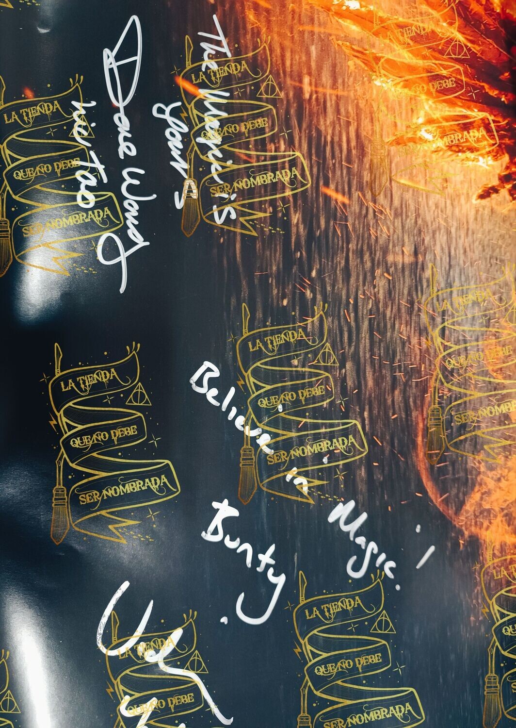 POSTER FIRMADO POR BUNTY (VICTORIA YEATES) Y LIU TAO (DAVE WONG)