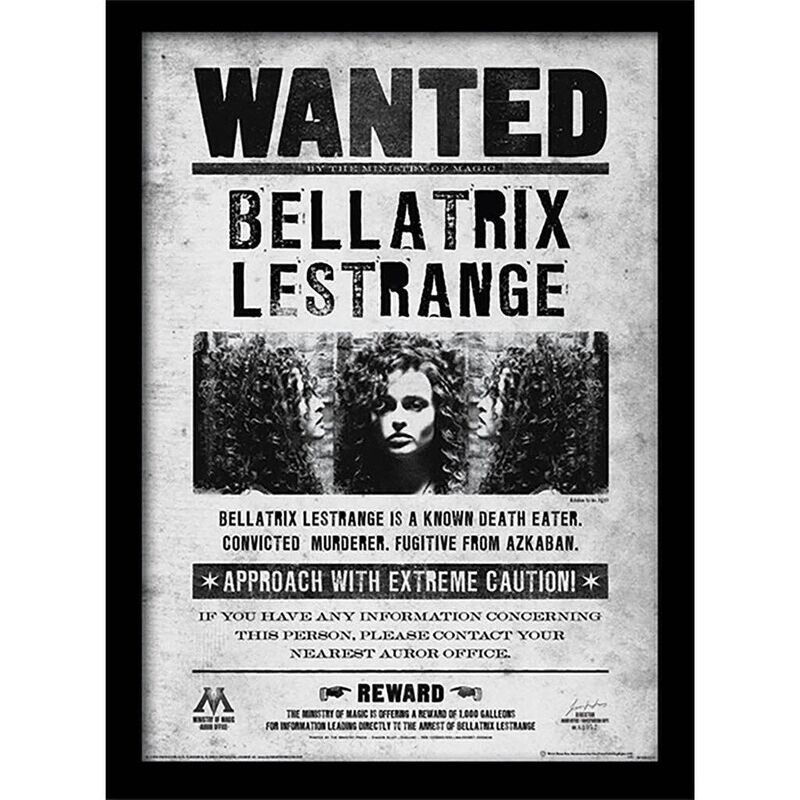 MARCO SE BUSCA BELLATRIX LESTRANGE HARRY POTTER
