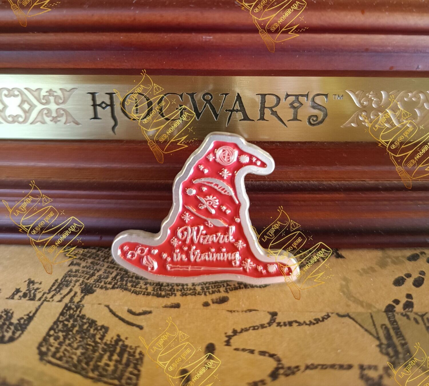 PIN DIARIO WIZARD IN TRAINING HARRY POTTER