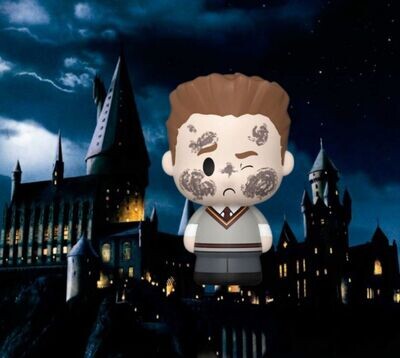 SEAMUS FINNIGAN