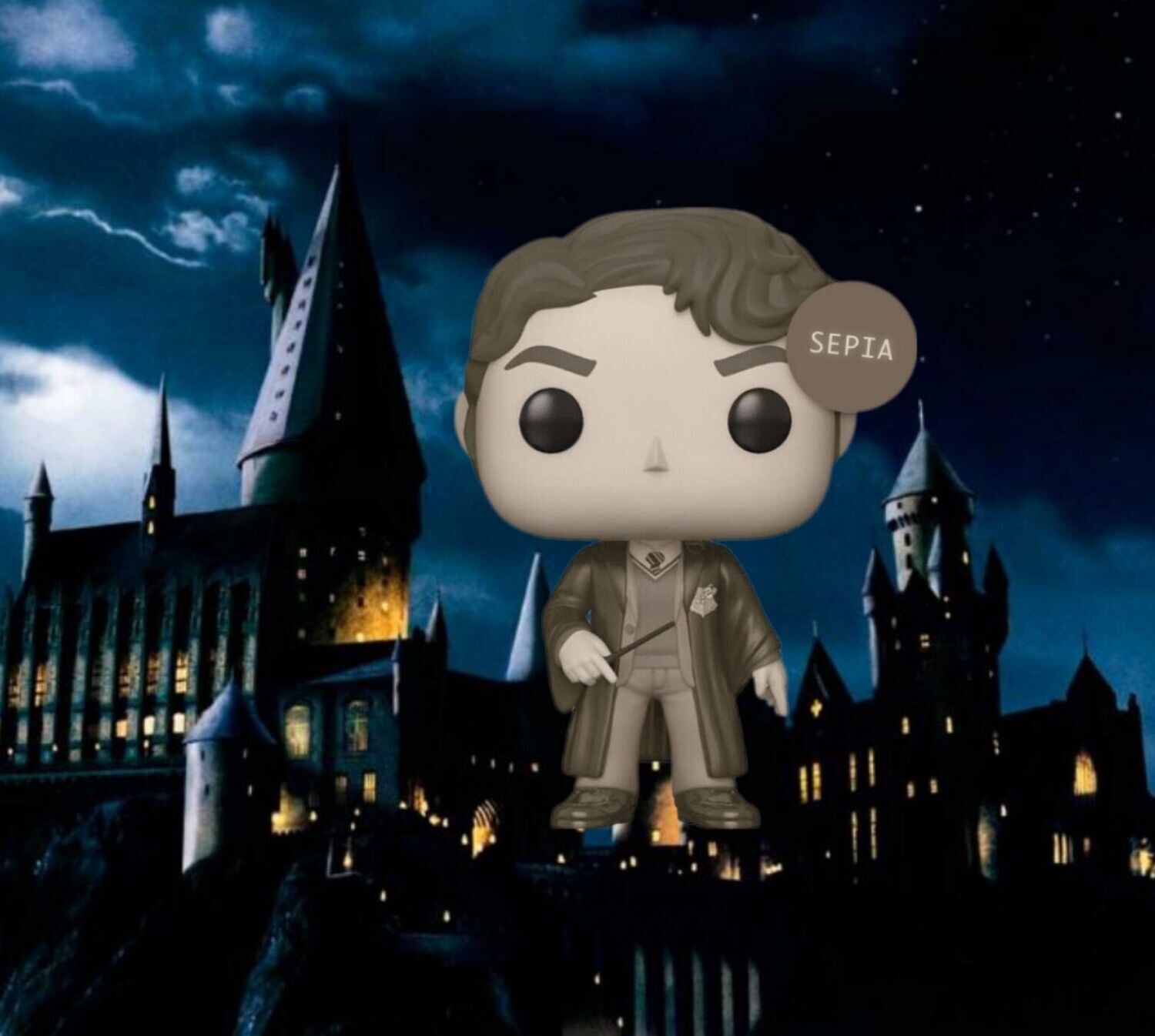 Tom Riddle Pop TOM RIDDLE