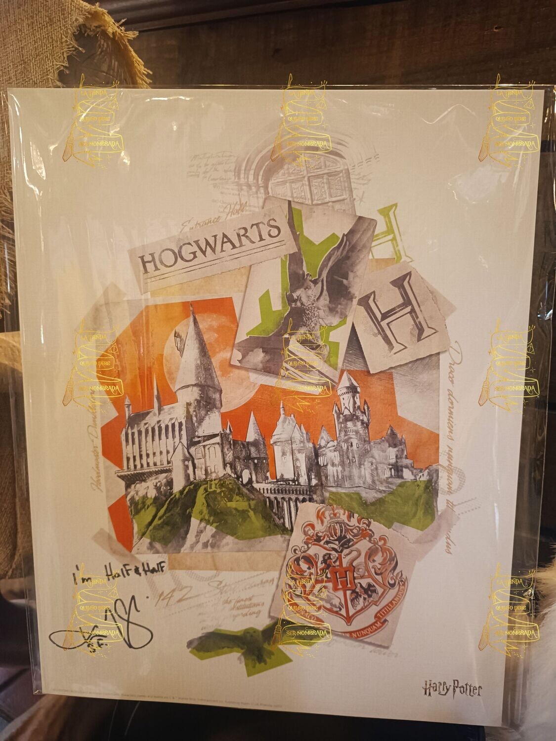 LITOGRAFIA FIRMADA POR SEAMUS FINNIGAN (DEVON MURRAY)