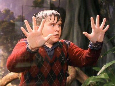 DUDLEY DURSLEY