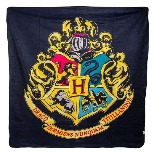 MANTA PICNIC HOGWARTS HARRY POTTER