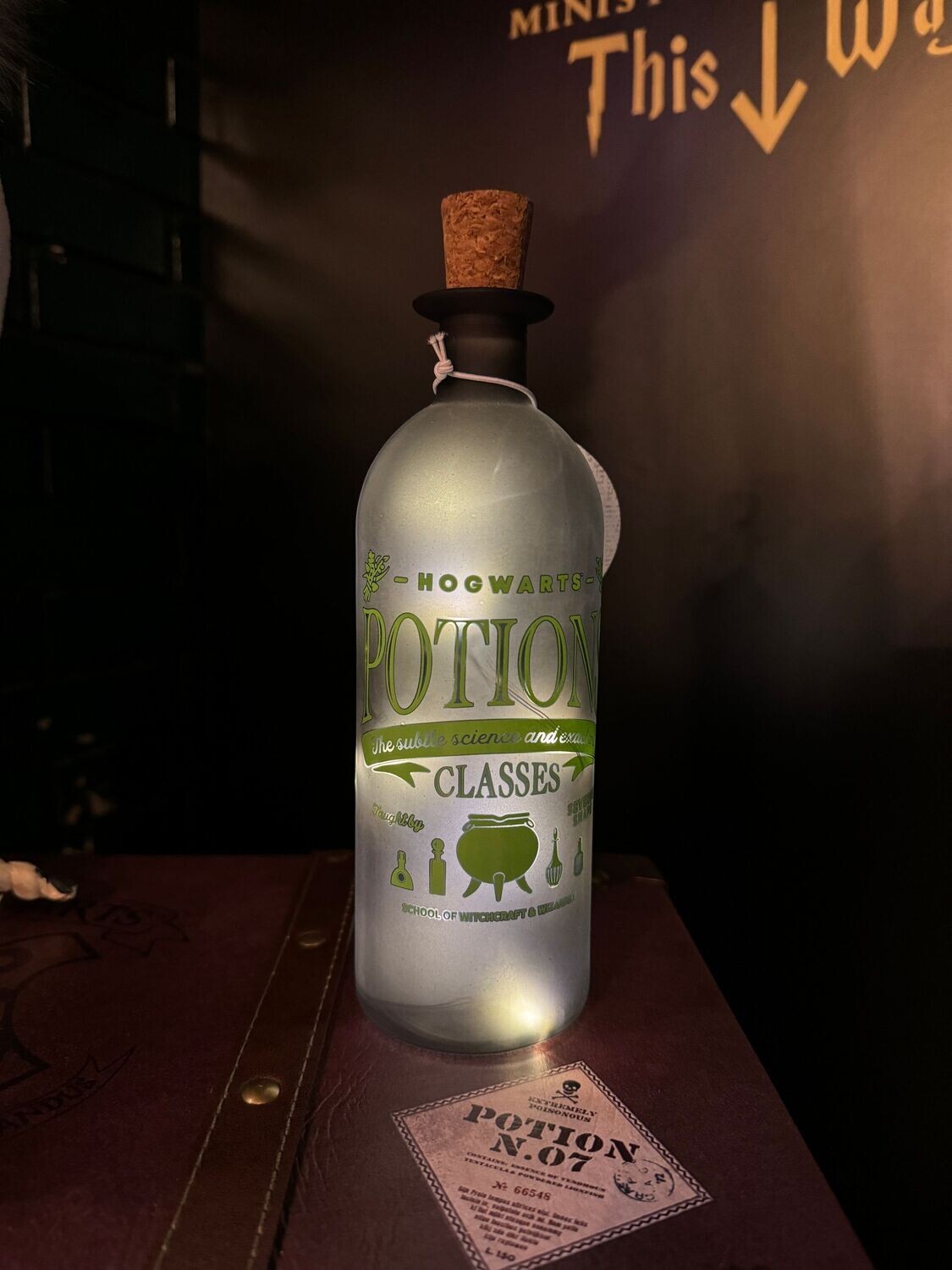 LAMPARA BOTELLA POTIONS SEVERUS SNAPE HARRY POTTER