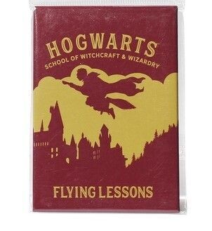 IMAN HOGWARTS FLYING LESSONS HARRY POTTER