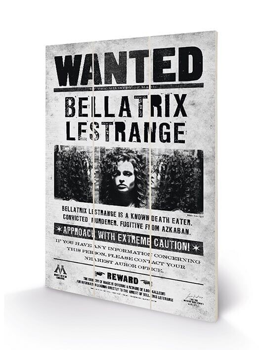 PLACA MADERA SE BUSCA BELLATRIX LESTRANGE HARRY POTTER