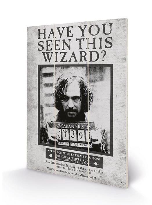 PLACA MADERA SE BUSCA SIRIUS BLACK HARRY POTTER