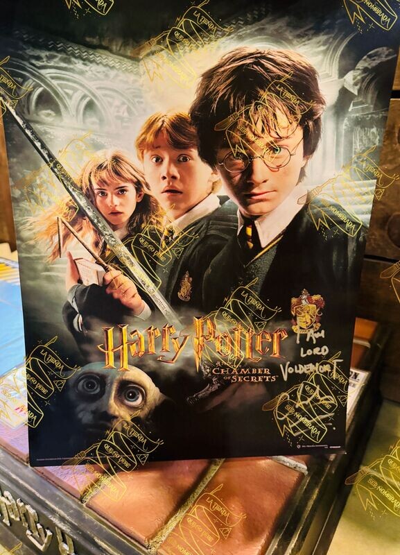 LITOGRAFIA ENMARCADA HARRY POTTER Y LA CAMARA DE LOS SECRETOS FIRMADO POR TOM RIDDLE (CHRISTIAN COULSON)