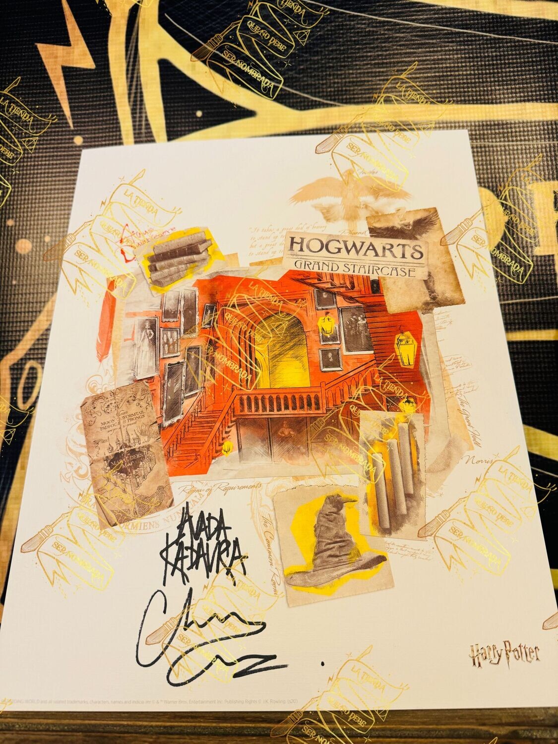 LITOGRAFIA HOGWARTS FIRMADA POR TOM RIDDLE (CHRISTIAN COULSON)