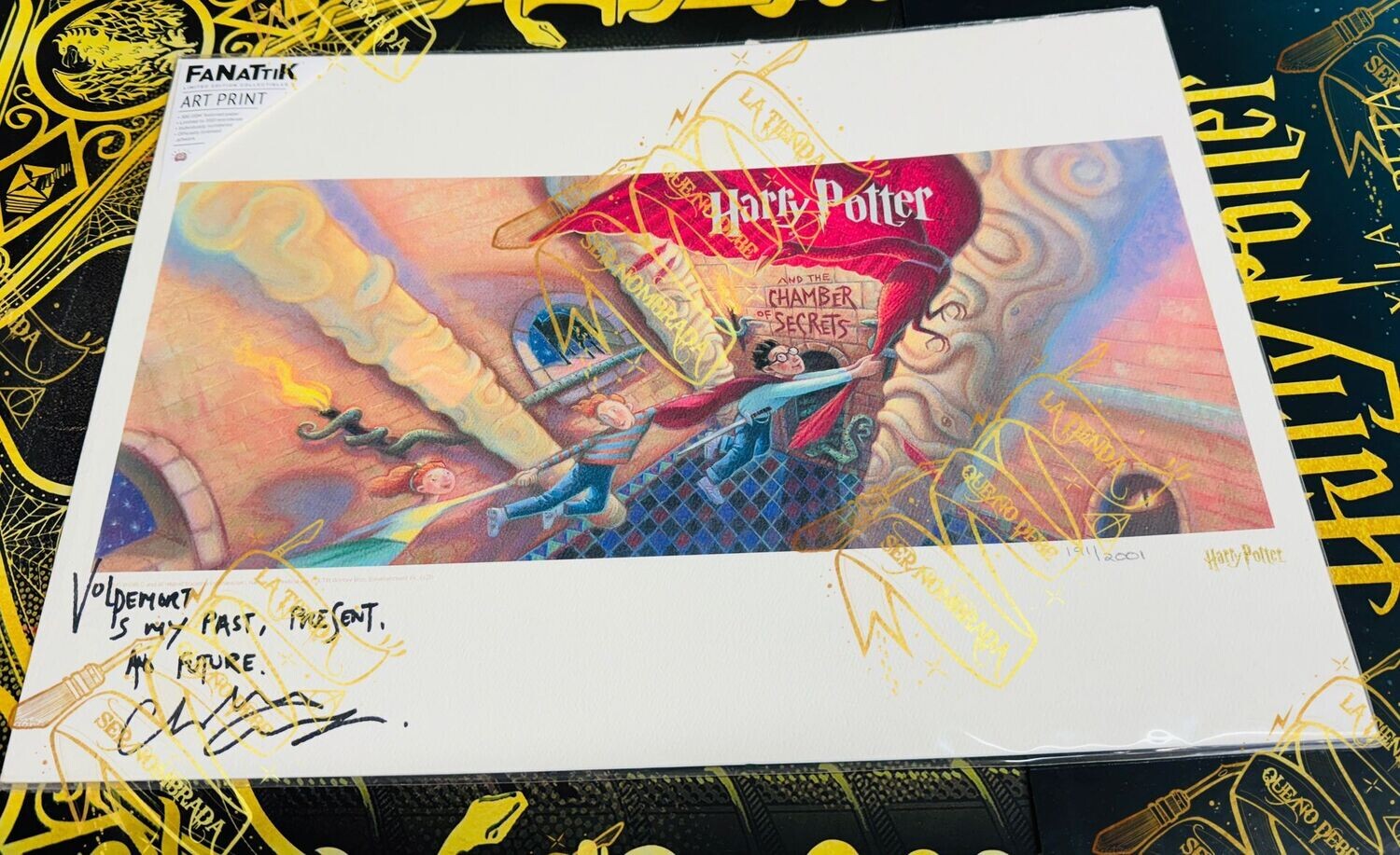 LITOGRAFIA HARRY POTTER Y LA CAMARA SECRETA FIRMADA TOM RIDDLE (CHRISTIAN COULSON)