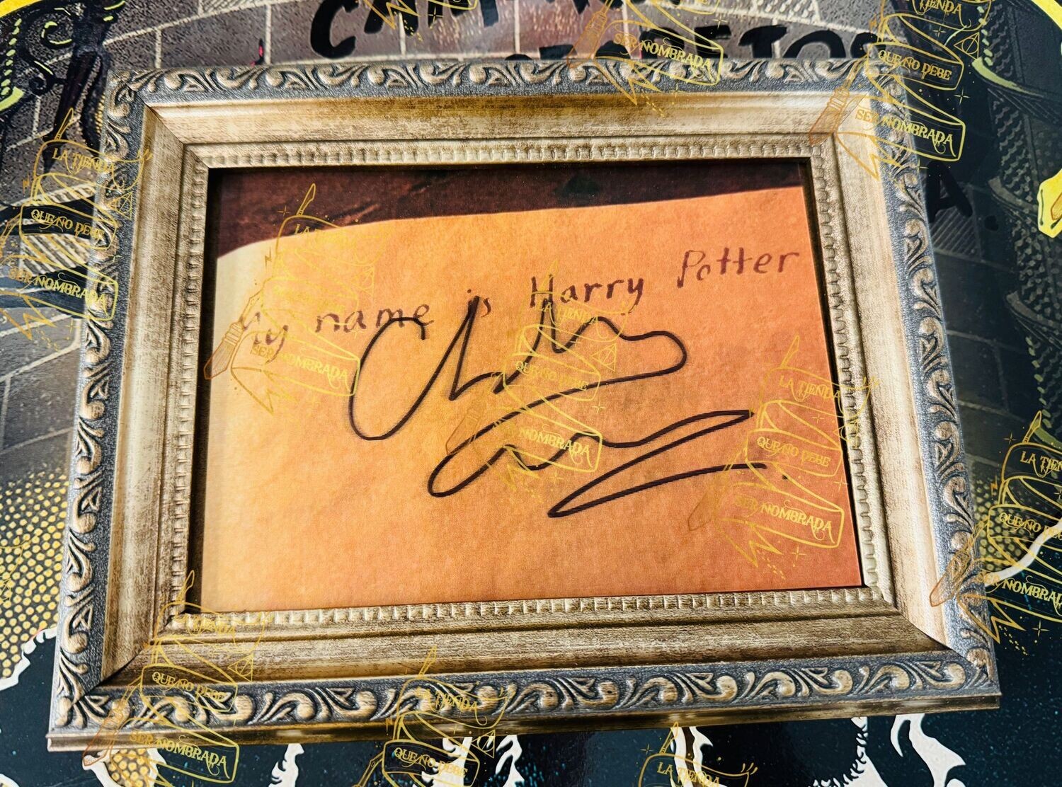 MARCO HOLOGRAFICO FIRMADO POR TOM RIDDLE (CHRISTIAN COULSON)