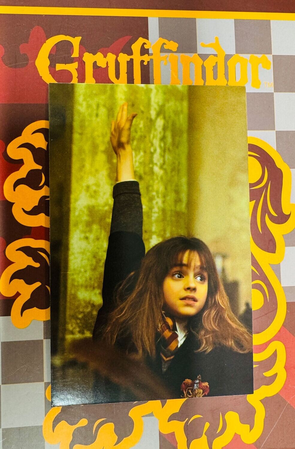 POSTAL HERMIONE GRANGER HARRY POTTER