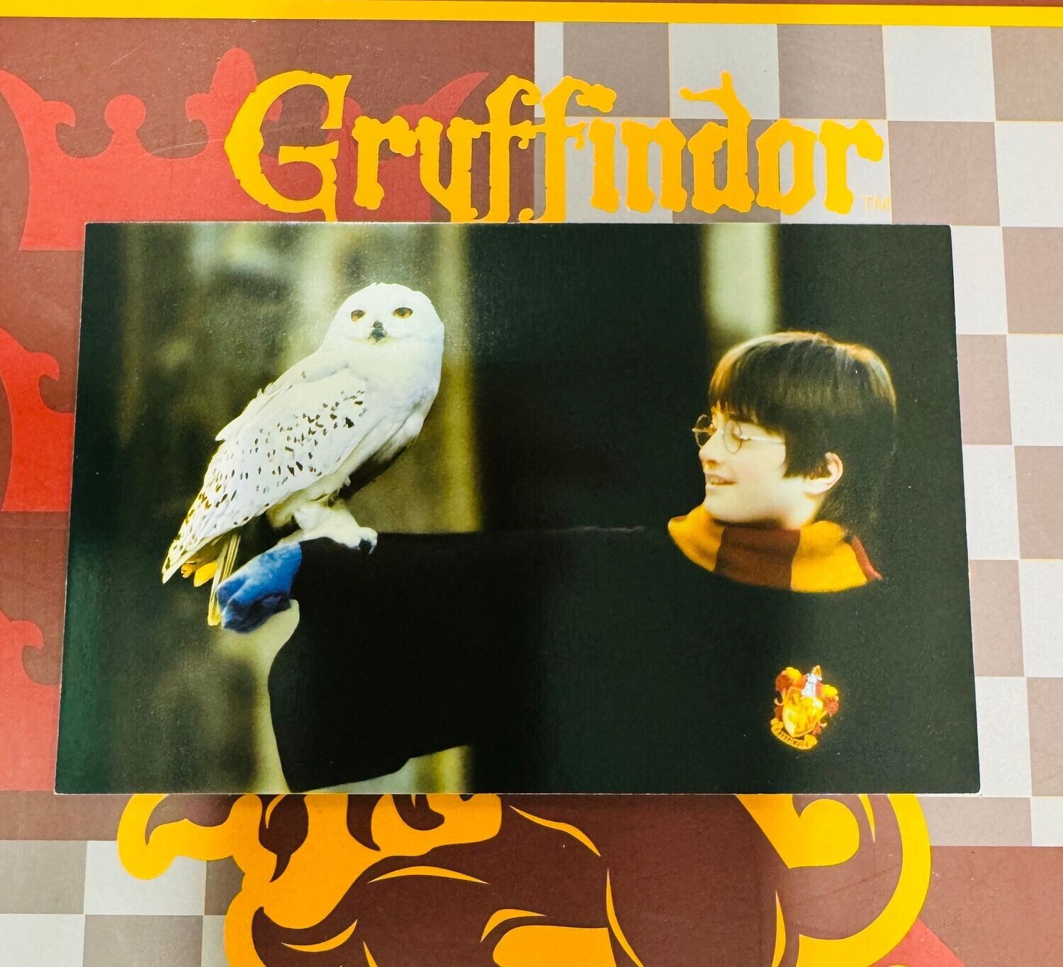 POSTAL HARRY POTTER CON HEDWIG