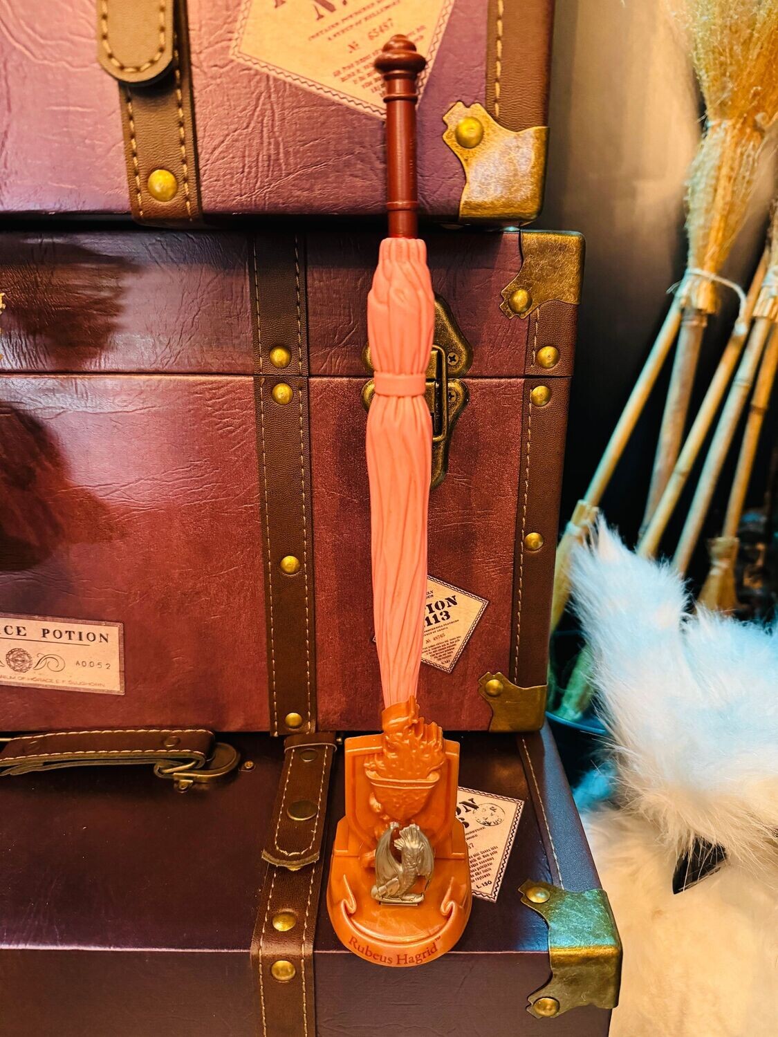 VARITA RUBEUS HAGRID HARRY POTTER