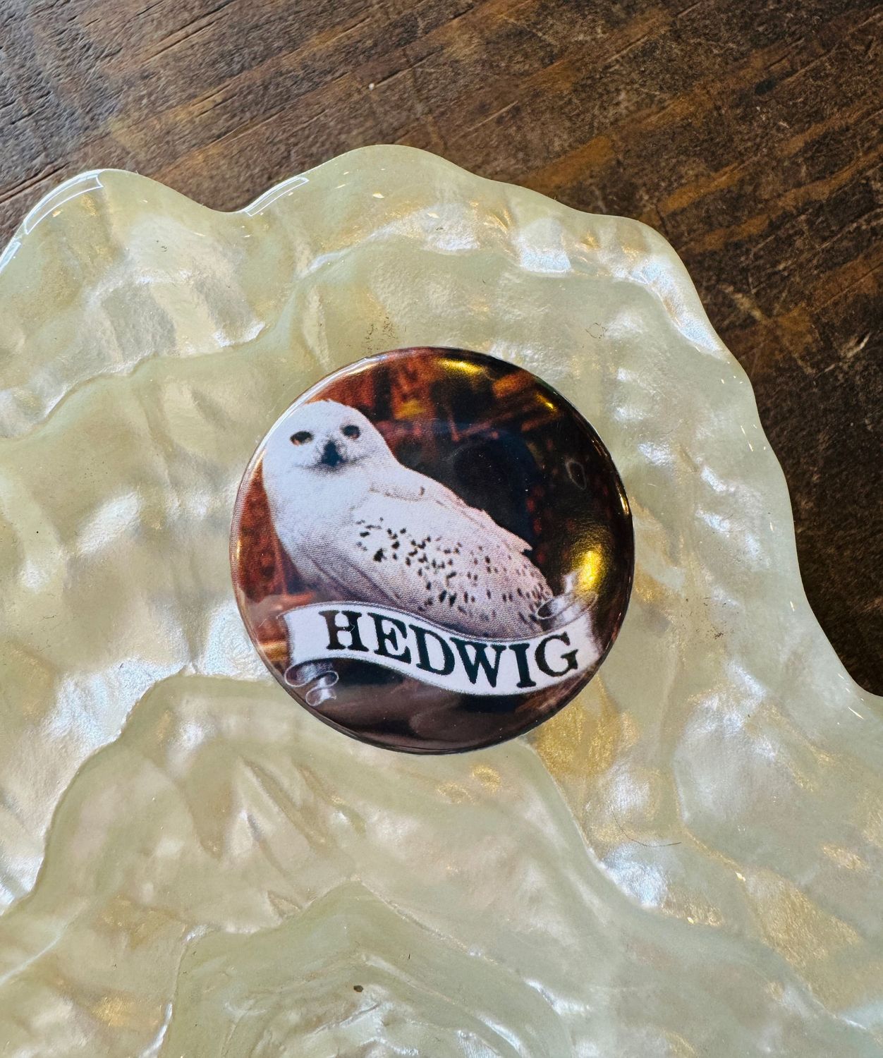 CHAPA HEDWIG HARRY POTTER