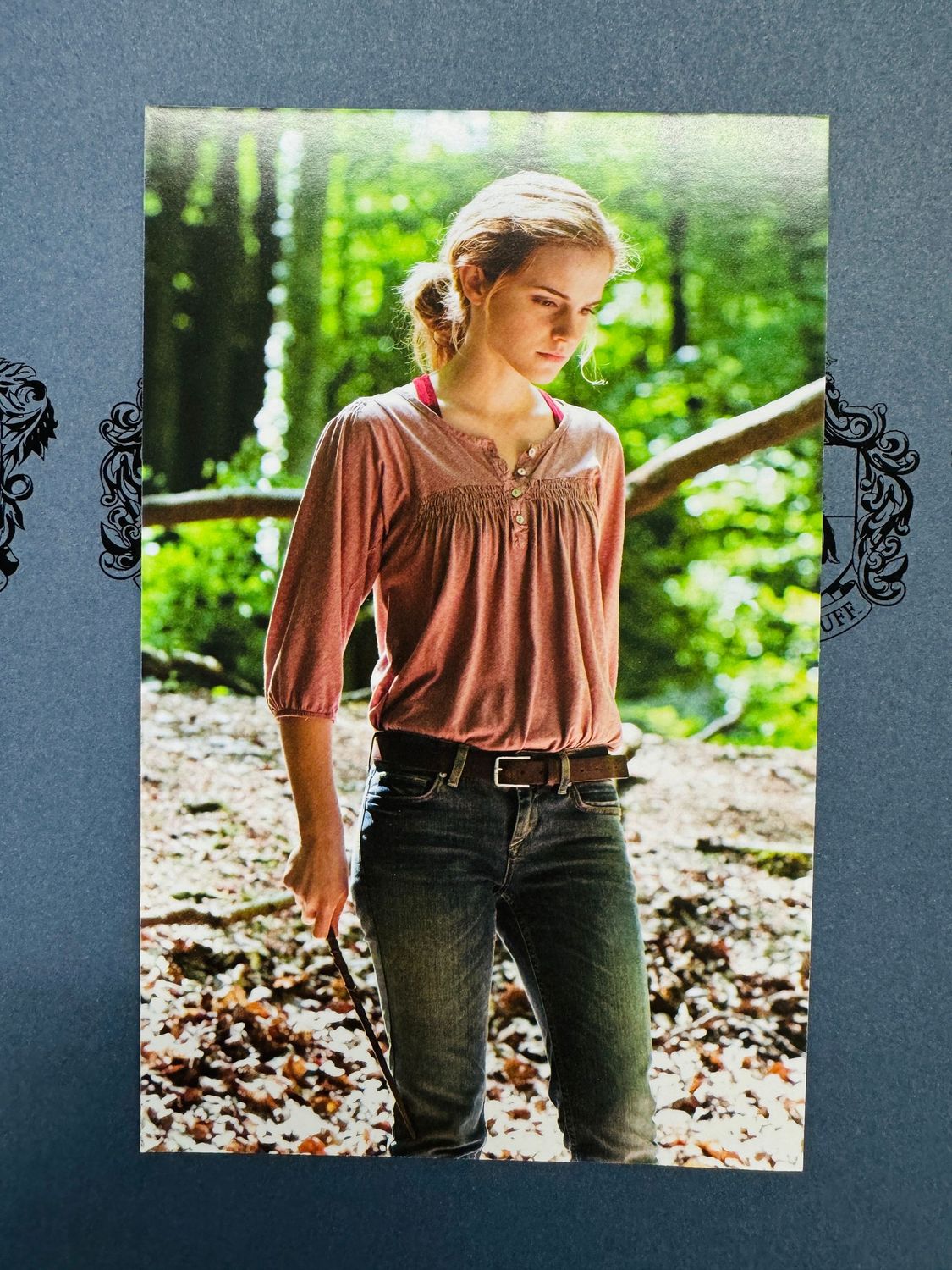 POSTAL HERMIONE GRANGER HARRY POTTER