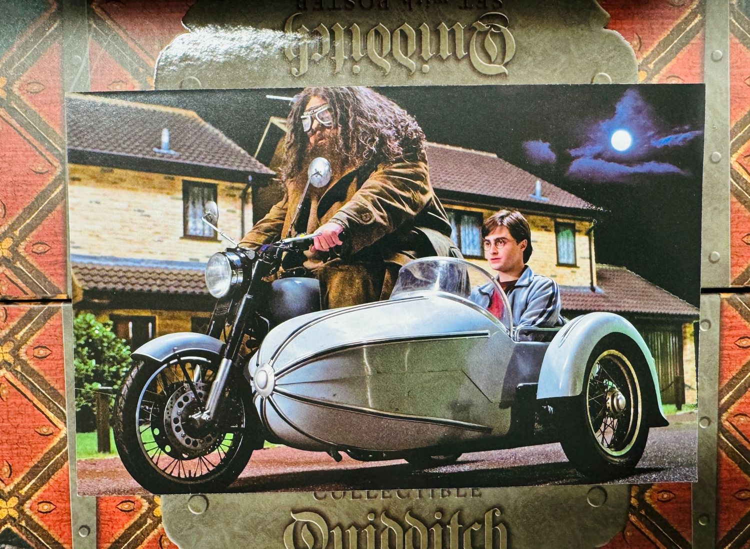 POSTAL HAGRID Y HARRY POTTER