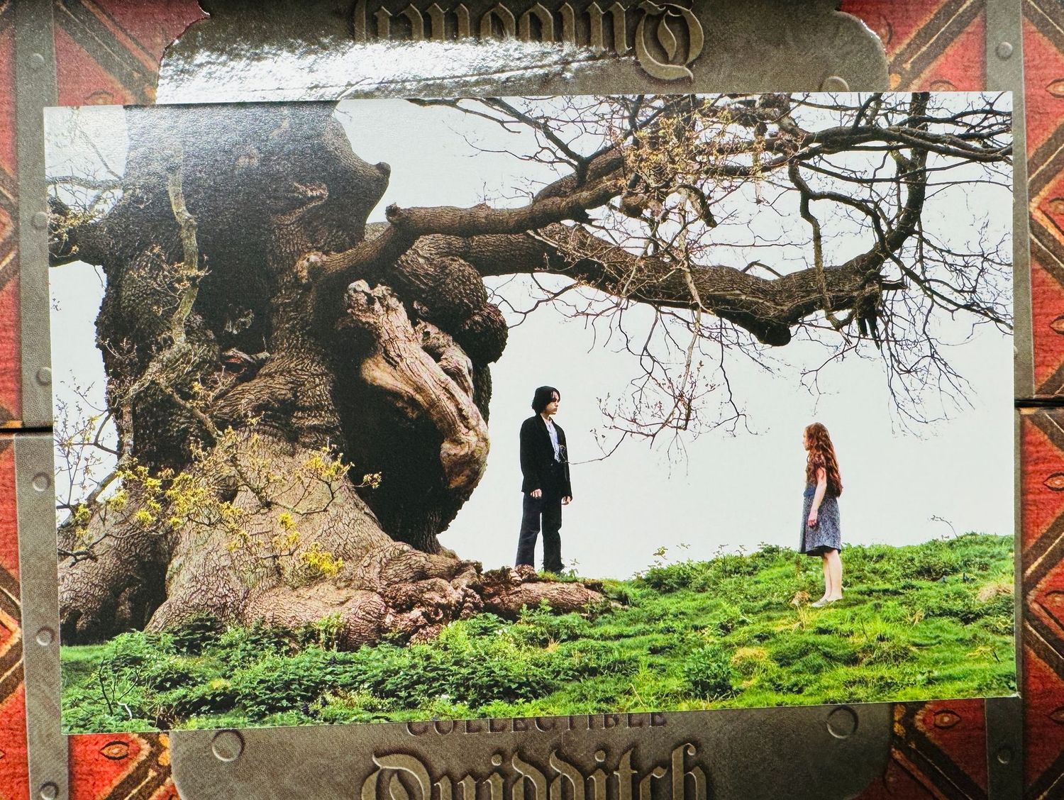 POSTAL DE SEVERUS SNAPE Y LILY POTTER HARRY POTTER