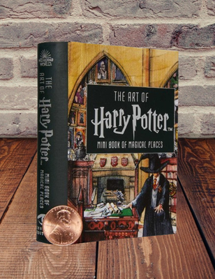 MINI LIBROS
