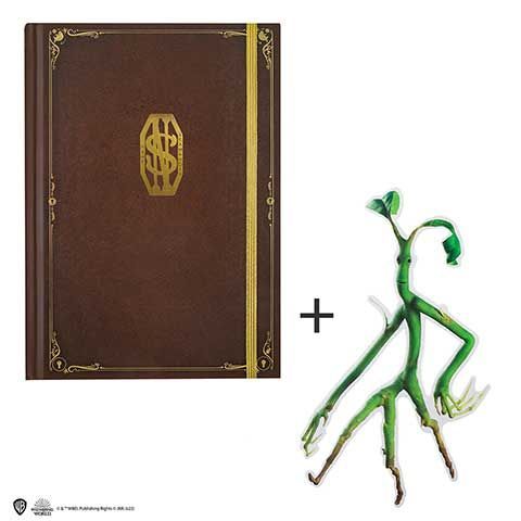 NOTEBOOK NEWT SCAMANDER & PICKETT ANIMALES FANTASTICOS